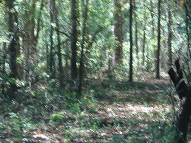 DSC07264.jpg