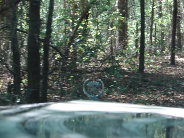DSC07265.jpg