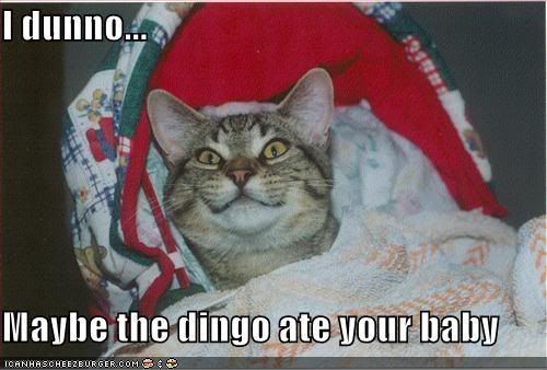 funny-pictures-cat-baby-bed-dingo.jpg