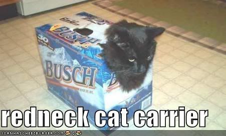 funny-pictures-cat-carrier-beer-box.jpg