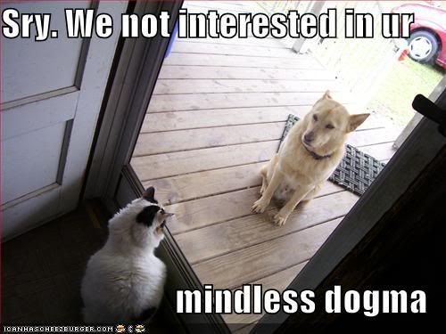 funny-pictures-cat-greets-dog-at-do.jpg