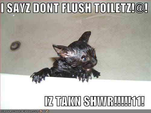 funny-pictures-cat-wet-bath-angry.jpg