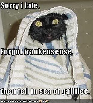 funny-pictures-late-wet-wiseman-cat.jpg