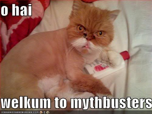 funny-pictures-mythbuster-cat.jpg
