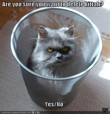 funny-pictures-recycle-bin-cat.jpg