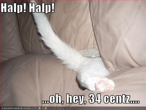 funny-pictures-white-cat-couch-crac.jpg