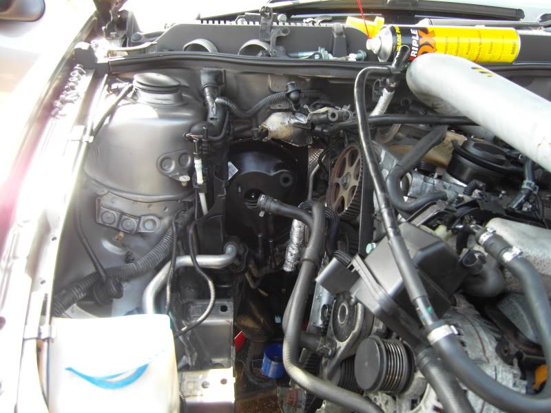 LC53YOL123-1.jpg
