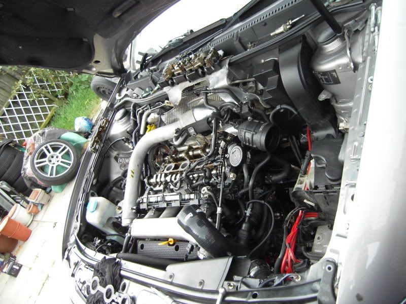 LC53YOL141.jpg