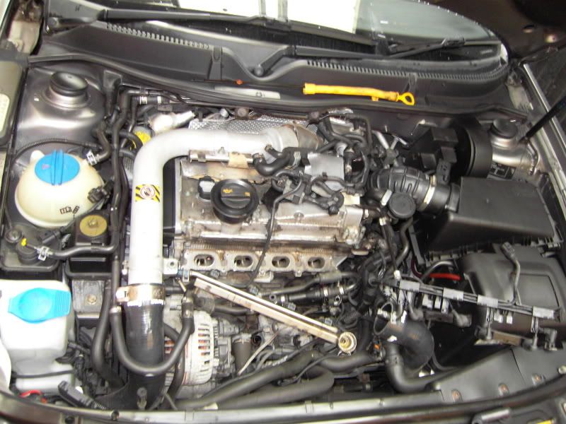 LC53YOL88.jpg
