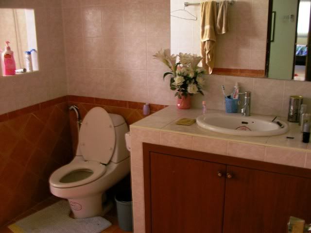 toilet2.jpg