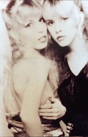 Stevie Nicks Lesbian 12