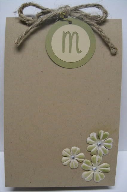 I used the Opposites Attrach cricut cartridge for the M on the invitation 