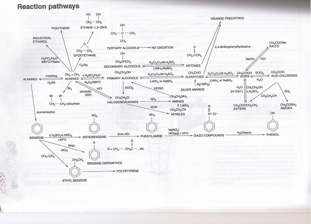 Organic Mind Map