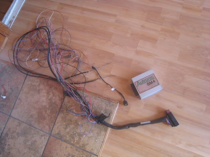 Sm41052.jpg