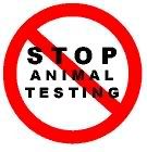 stop animal testing Pictures, Images and Photos