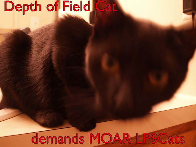 depthOfFieldCat.jpg