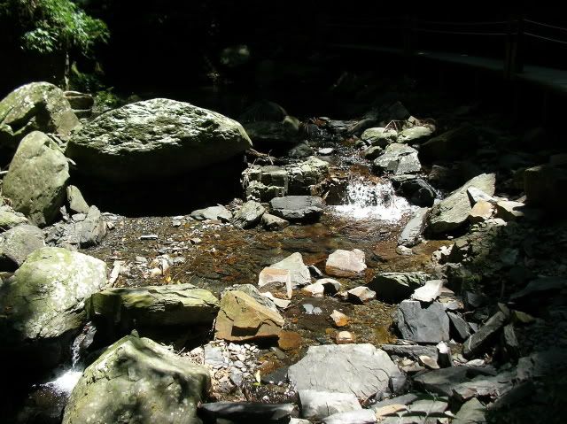 sany0260yx7.jpg