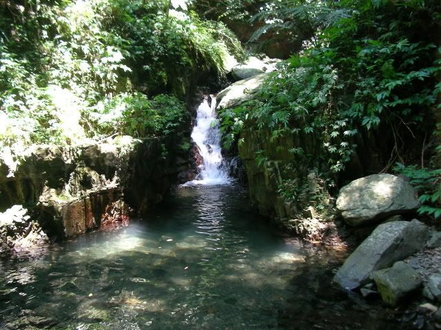 sany0262rr9.jpg