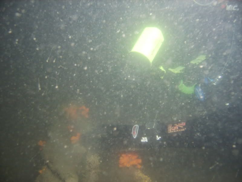 MutsuDive1112062.jpg