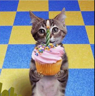http://i73.photobucket.com/albums/i211/mickeymouse_261/birthday/cat_cupcake.gif