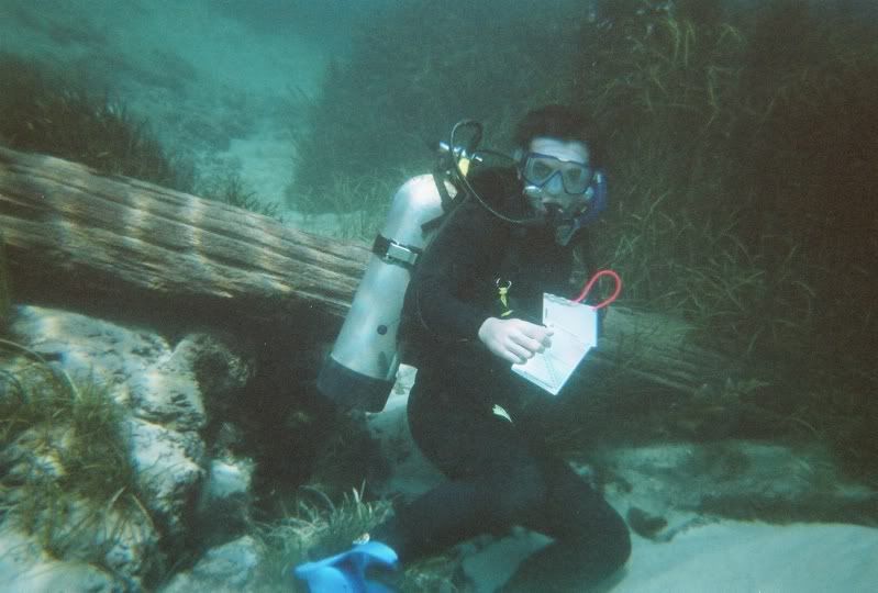 Mattonlog.jpg
