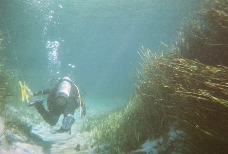 Sarahswimming.jpg