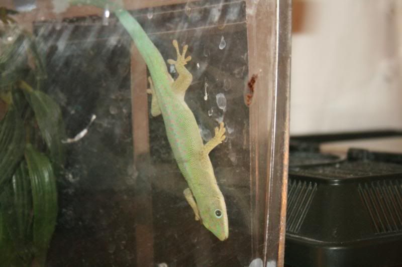 CameraPictures1006.jpg