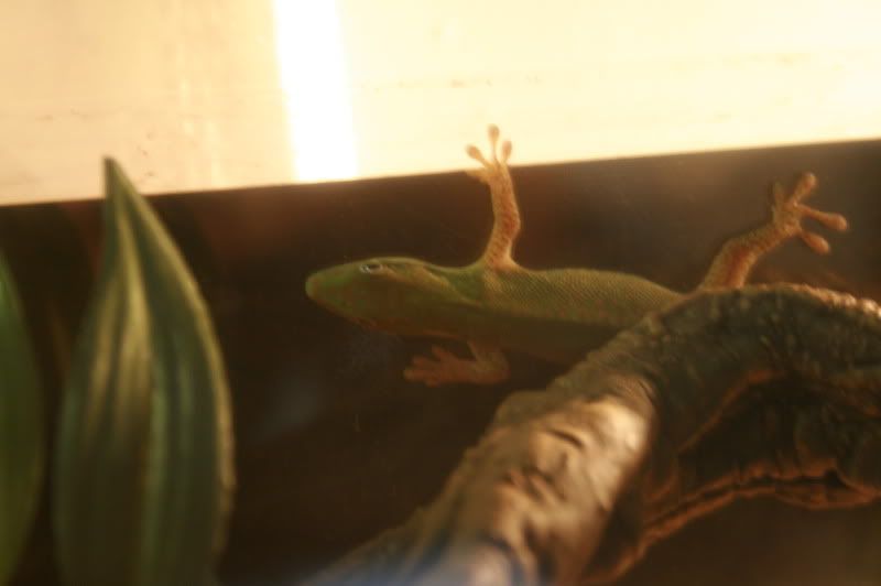 CameraPictures2775.jpg
