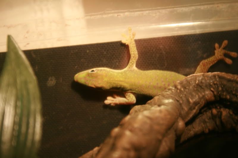 CameraPictures2783.jpg