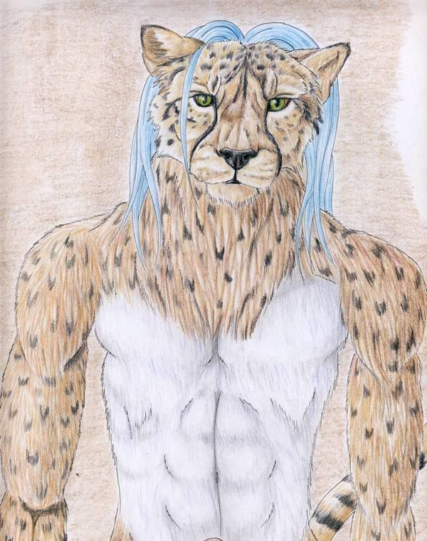 http://i73.photobucket.com/albums/i212/punxnotdeadanarchy/Cheetah.jpg