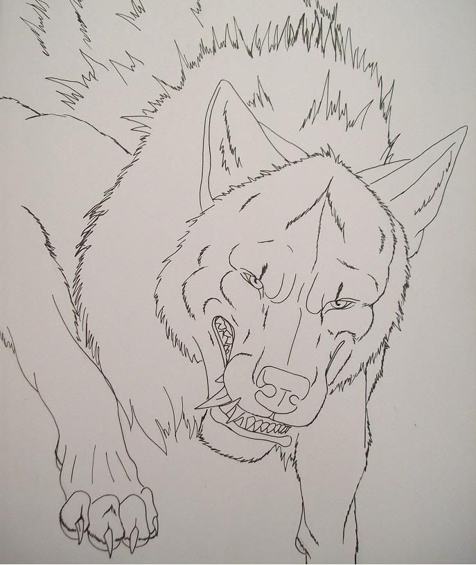 http://i73.photobucket.com/albums/i212/punxnotdeadanarchy/InkedWolf.jpg