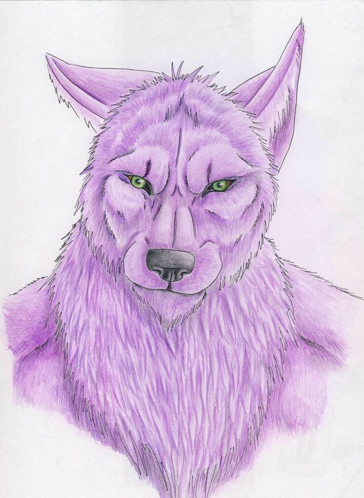 http://i73.photobucket.com/albums/i212/punxnotdeadanarchy/MaliciousBarney.jpg