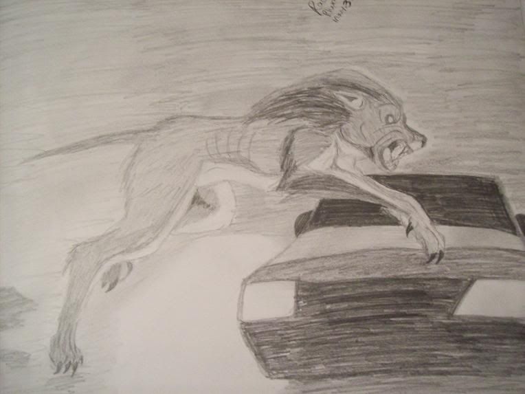 http://i73.photobucket.com/albums/i212/punxnotdeadanarchy/WerewolfLunging-1.jpg
