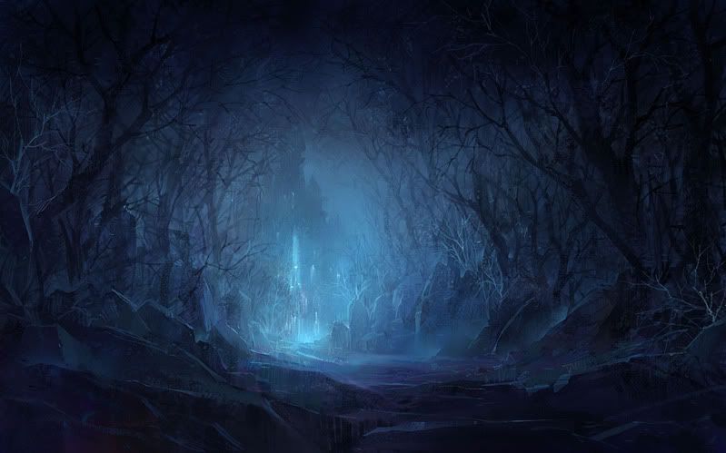 night forest background