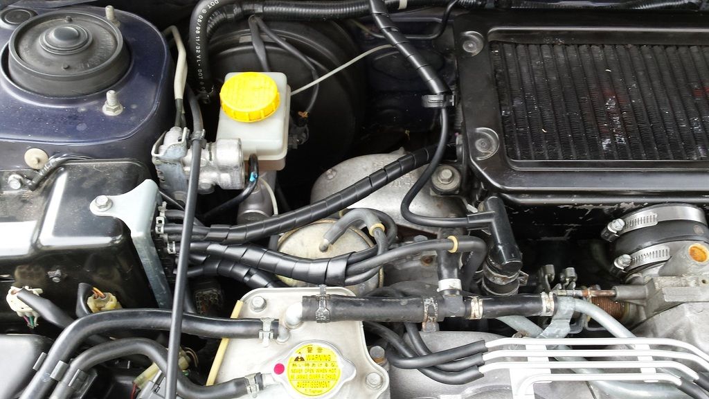 20150317_111258_zpseb873hrq.jpg