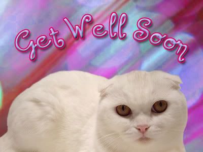 get_well_soon.jpg
