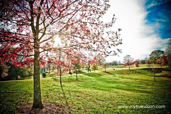 family photography,atlanta photographers,family portrait,mother son,fall photography,make a plane,leaves autumn,a beautiful day,photography,carlton mackey