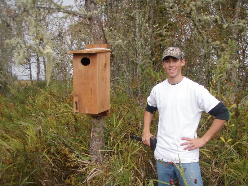 Wood Duck Boxes Conservation/Biology