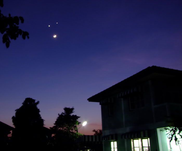 120848.jpg picture by notoriouspartygal