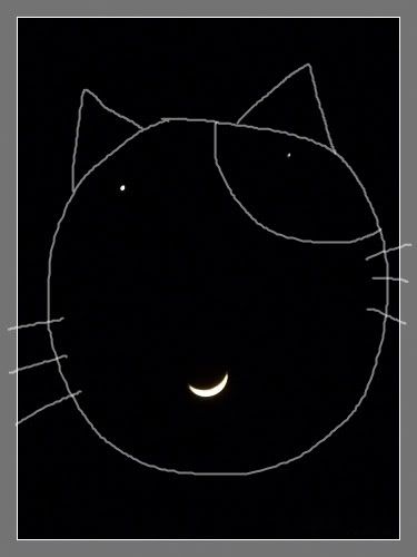 J7274099-6.jpg picture by notoriouspartygal
