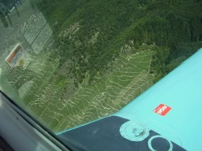 Vine terraces in the Moselle valley on take off from Koblenz