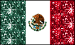 Mexican glitter flag 