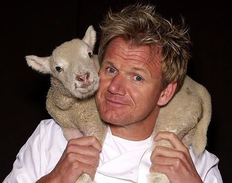 gordon ramsey Pictures, Images and Photos