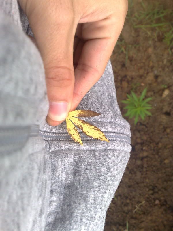Billede