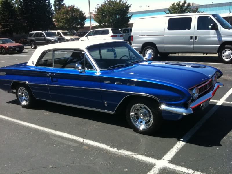 skylark