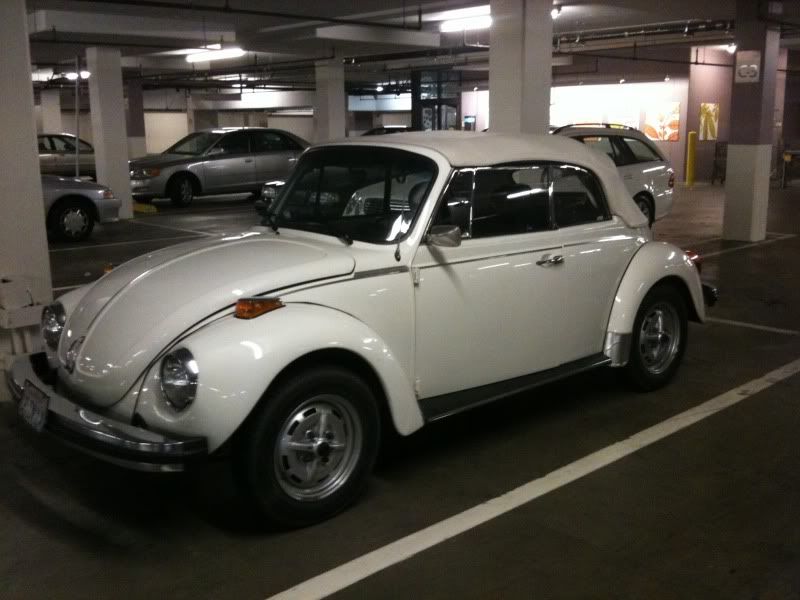 Beetle