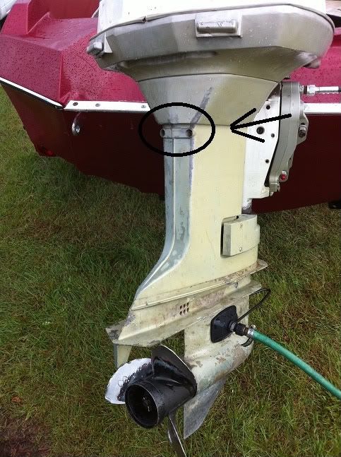 pee.jpg