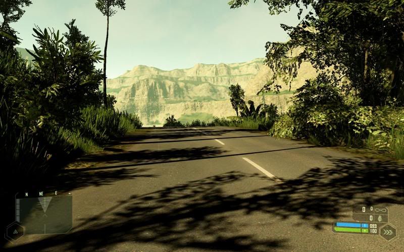 crysis crysis