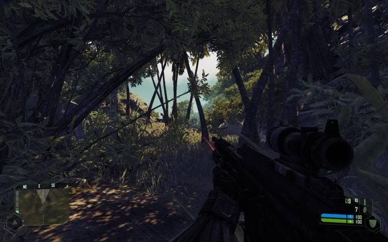 crysis crysis