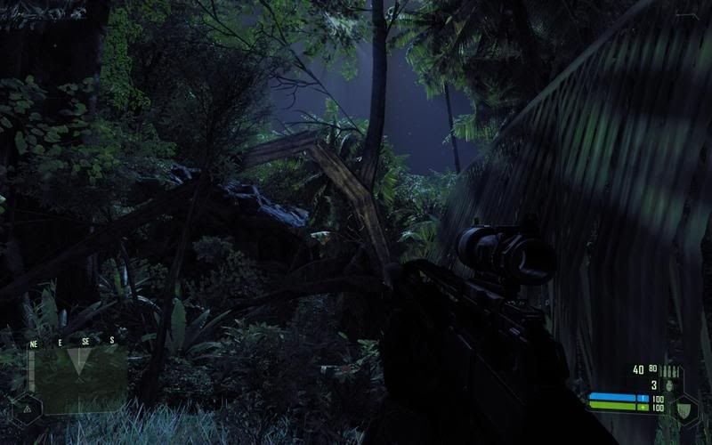 crysis crysis